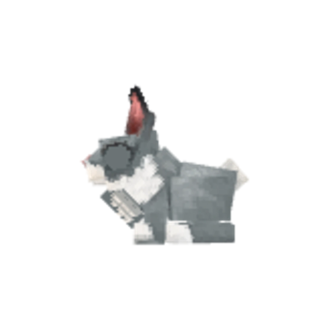 Miniatura Flanco Derecho