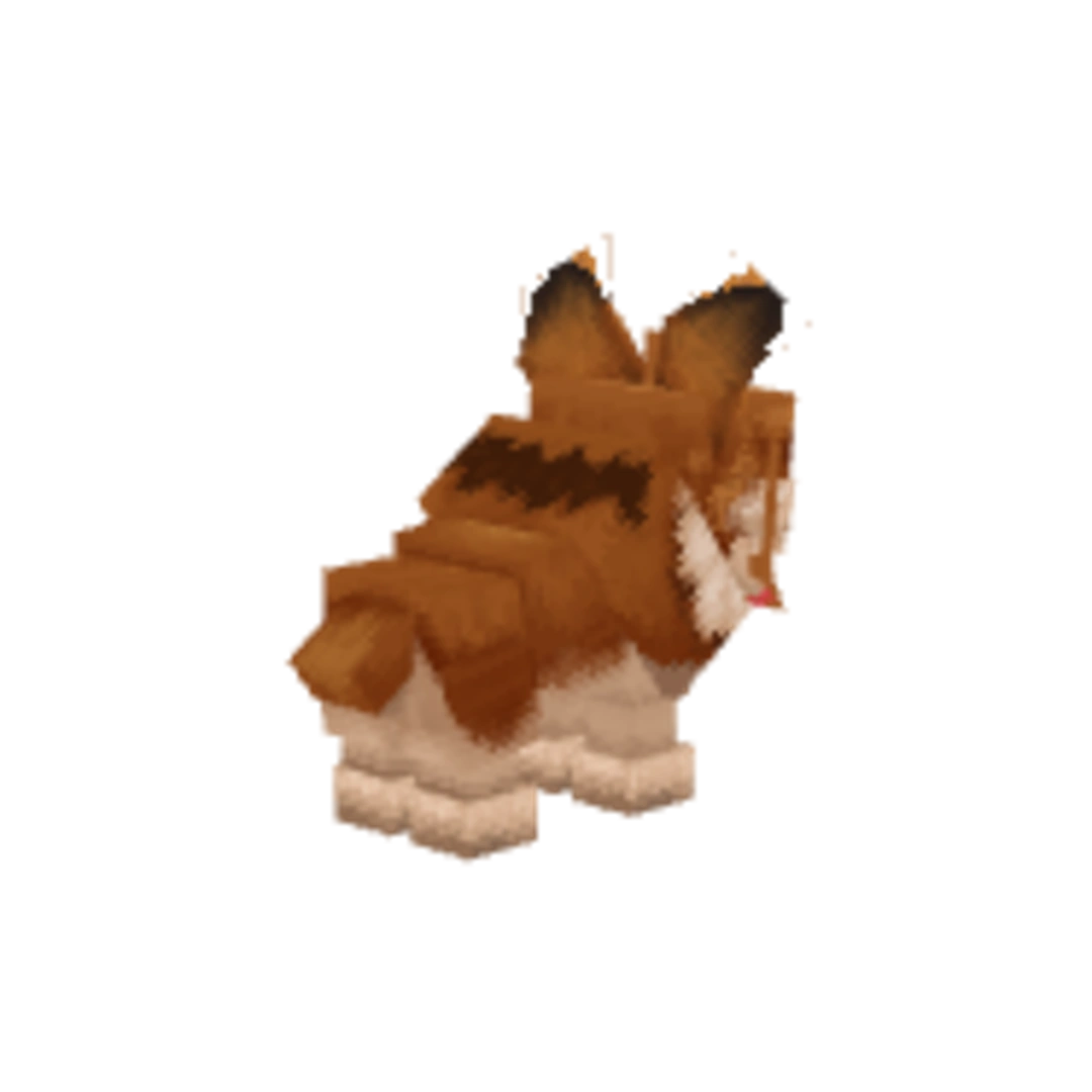 Miniatura Retaguardia