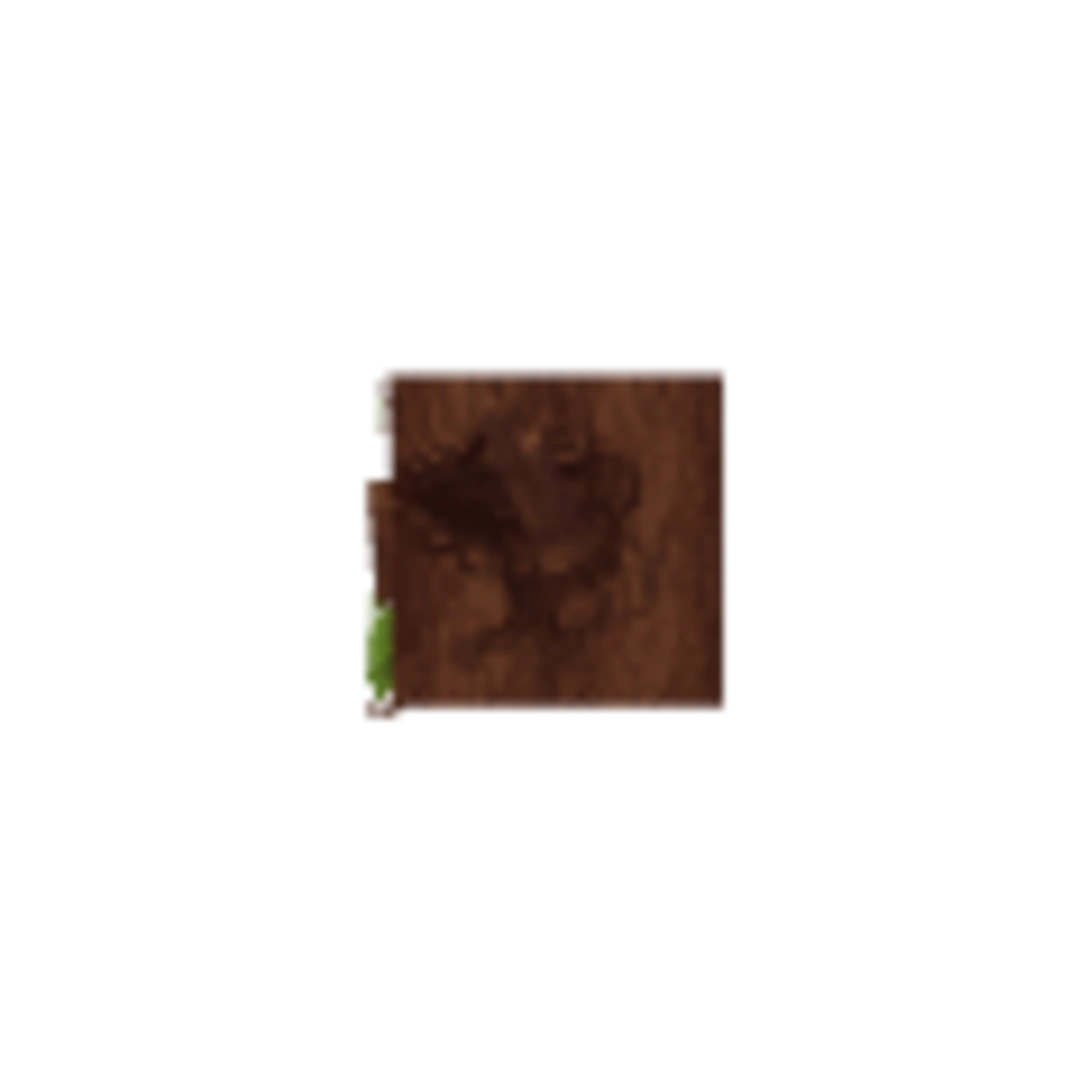 Miniatura Flanco Derecho