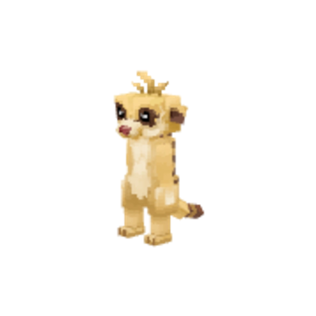 Modelo 3D de Meerkat