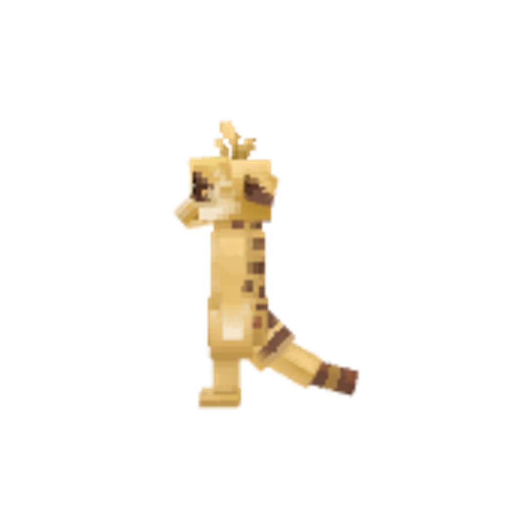 Miniatura Flanco Derecho