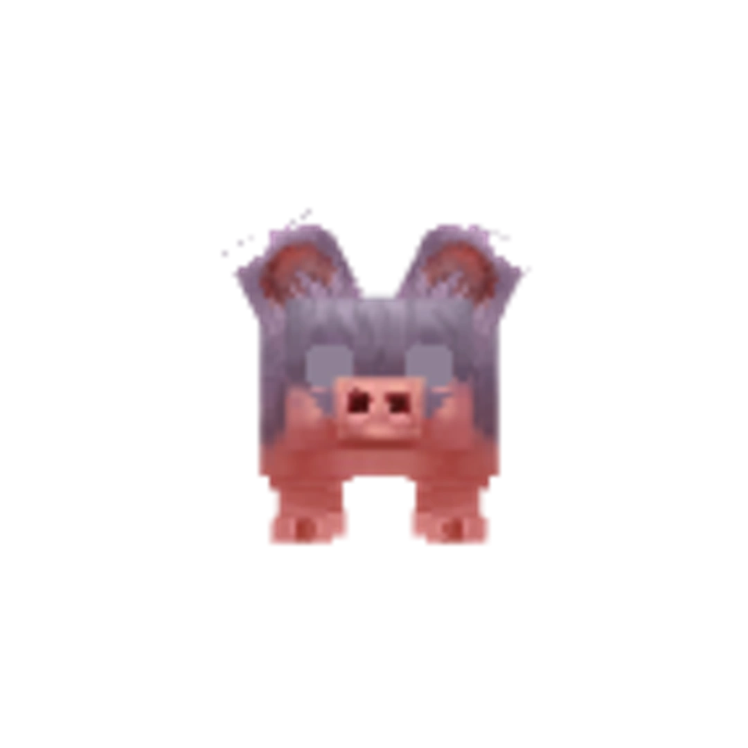 Vista del modelo Pig-Texture_Wild de Hytale