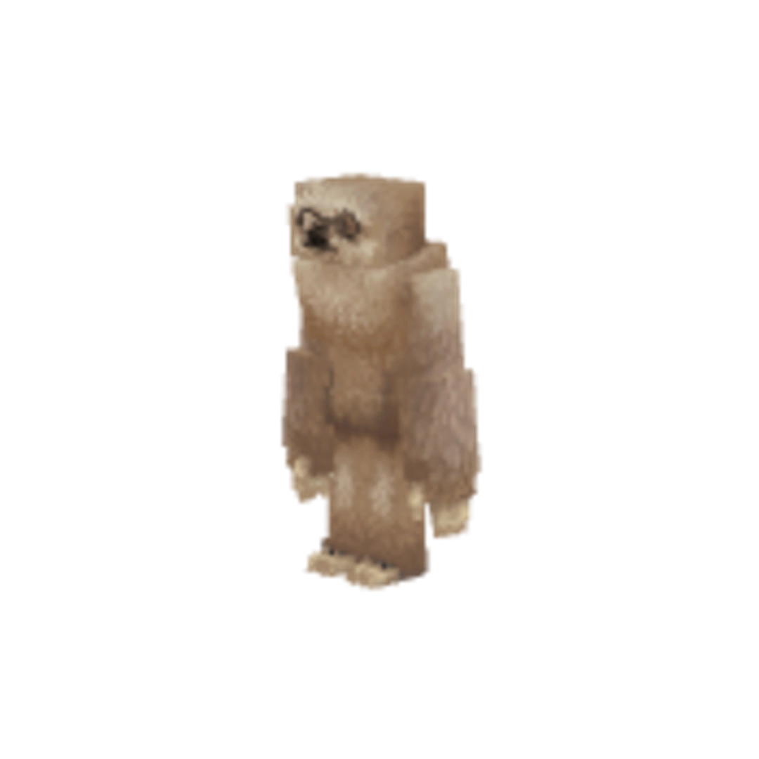 Miniatura Vista Frontal