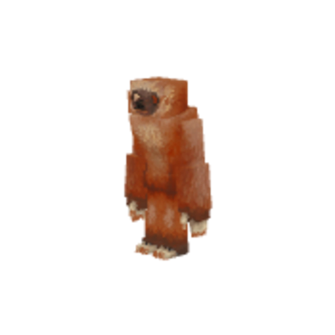 Miniatura Vista Frontal